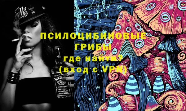 стафф Алексеевка