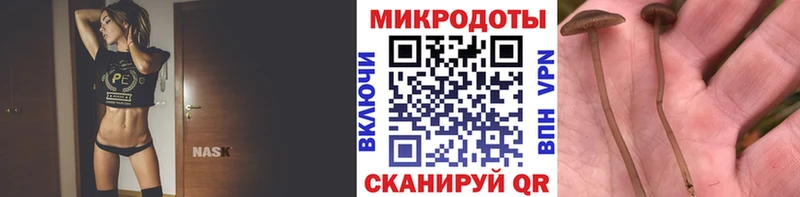 Псилоцибиновые грибы мицелий  мега онион  Усть-Илимск  купить  